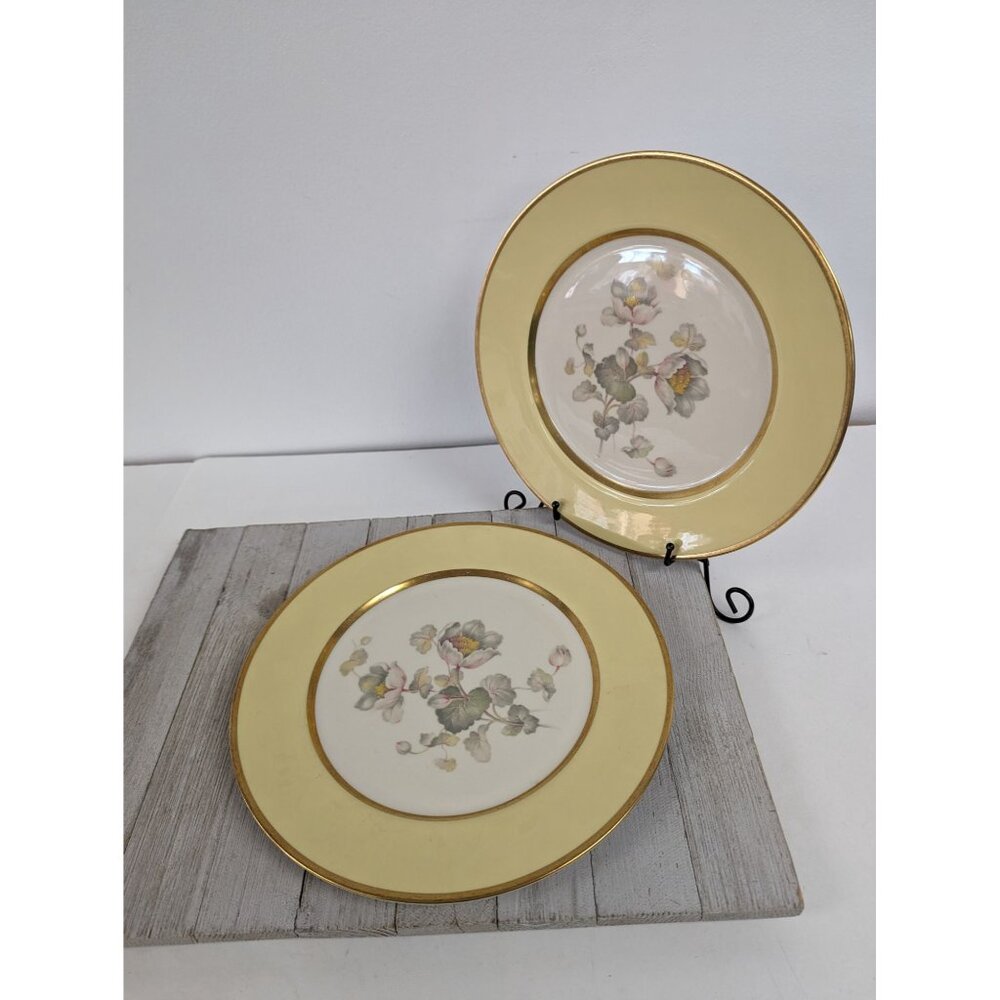 Anemone Yellow Dinner Plates Set of 2 California Gold Flintridge Sylvan China